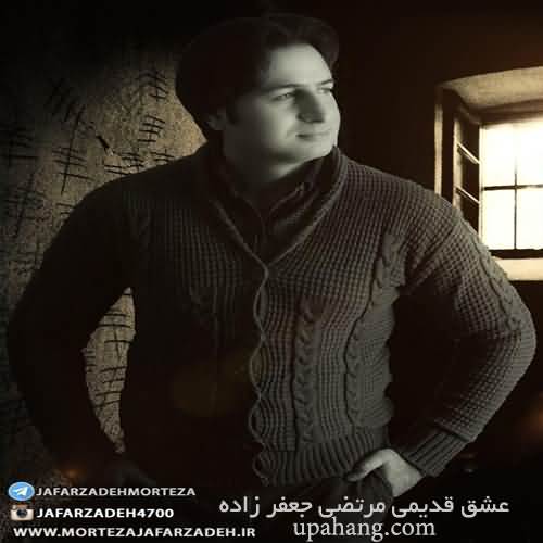 دانلود آهنگ آهای گل بی وفا منو کرده ای رها مرتضی جعفرزاده