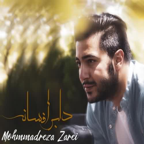 دانلود آهنگ محمدرضا زارعی دلبر افسانه