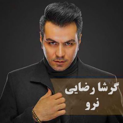 دانلود آهنگ نرو گرشا رضایی
