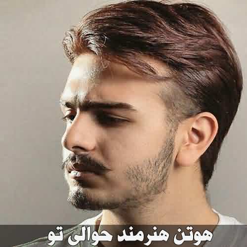 دانلود آهنگ هوتن هنرمند حوالی تو