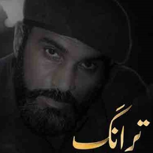 وحید ترکش ترانگ