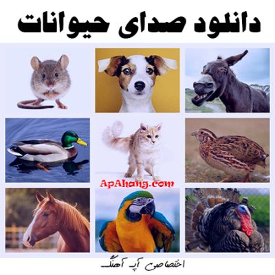 دانلود صدای حیوانات