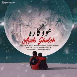 ایوب قلعه هوو کاره