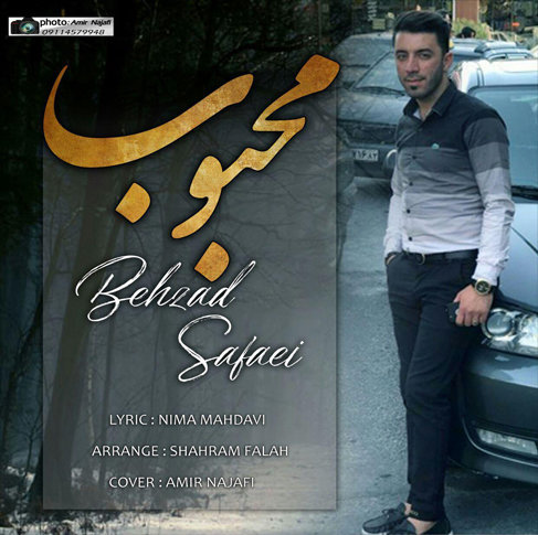 بهزاد صفایی محبوب