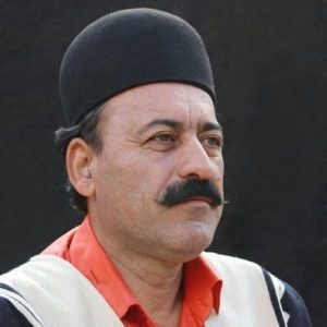 دیدار محمودی تش دیری