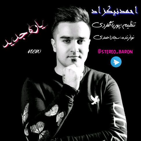 احمد نیکزاد یار جدید