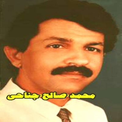 دانلود آهنگ بستکی میده از محمد صالح جناحی