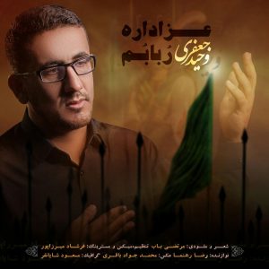 وحید جعفری عزادار ربابم