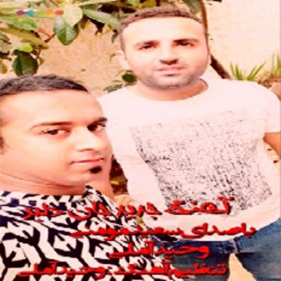 دانلود آهنگ مازندرانی جان دلبر از سعید مومنی و وحید آملی