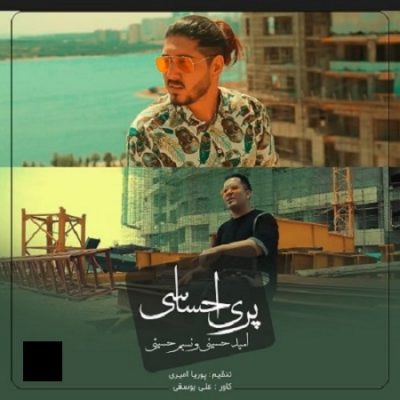 دانلود آهنگ افغانی پری احساسی از نسیم حسینی