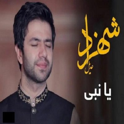 دانلود آهنگ جدید افغانی یا نبی از شهزاد عادل
