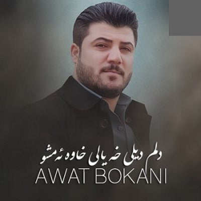 دانلود آهنگ محلی کردی دلم دیلی خه یالی خاوه ئه مشو از آوات بوکانی