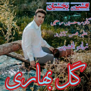 افشین بخشیان گل بهاری