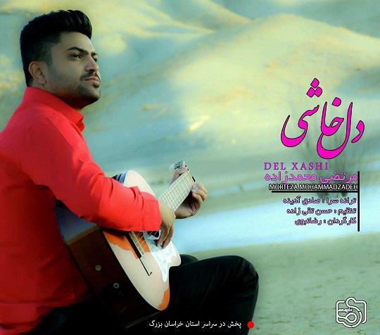 مرتضی محمدزاده دل خاشی