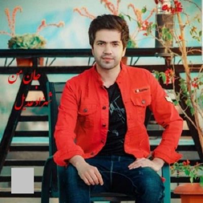 دانلود آهنگ افغانی جان من از شهزاد عادل