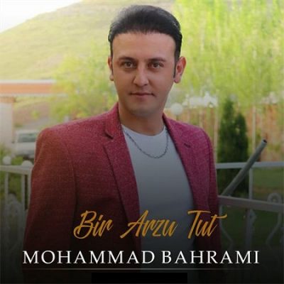 دانلود آهنگ ترکی بیر آرزو توت از محمد بهرامی