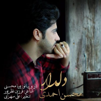 دانلود آهنگ لری دلدار از محسن احمدی