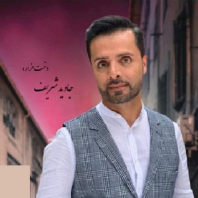 دانلود آهنگ افغانی دختر هزاره از جاوید شریف