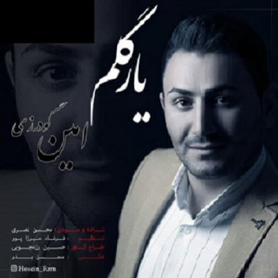 دانلود آهنگ لری یار گلم از امین گودرزی