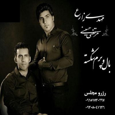 دانلود آهنگ کرمانجی بال و پرشکسته از مهدی زارع