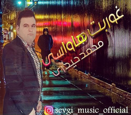 محمد حیدری غوربت هاواسی