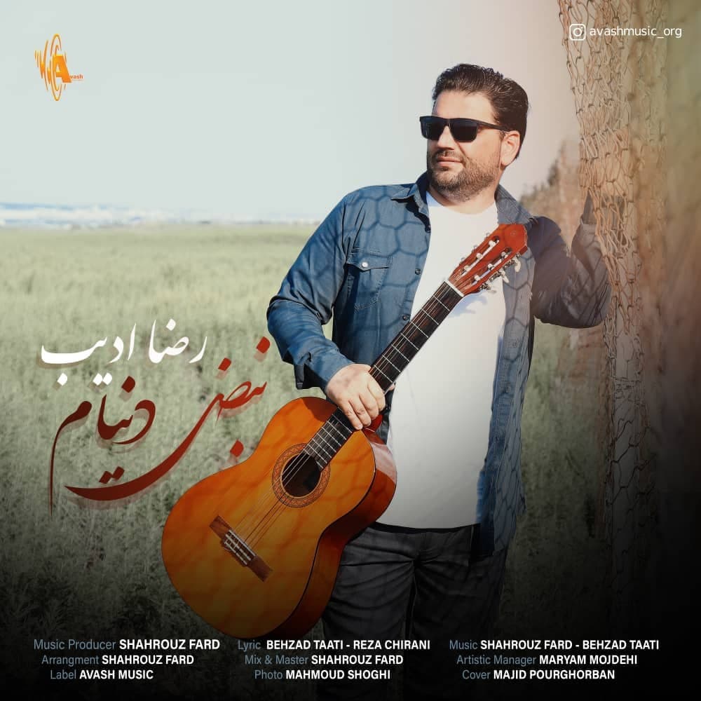 دانلود آهنگ نبض دنیام رضا ادیب
