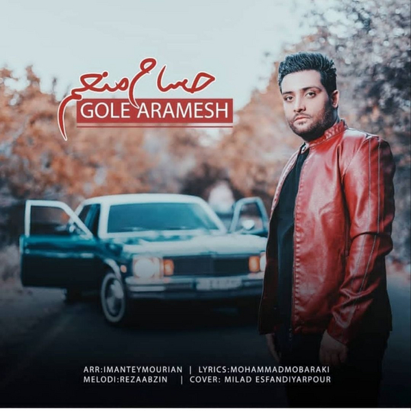 دانلود آهنگ گل آرامش حسام منعم