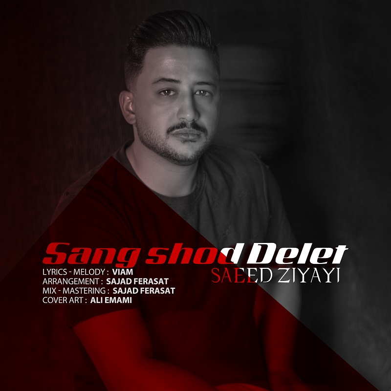 دانلود آهنگ سنگ شده دلت سعید ضیایی