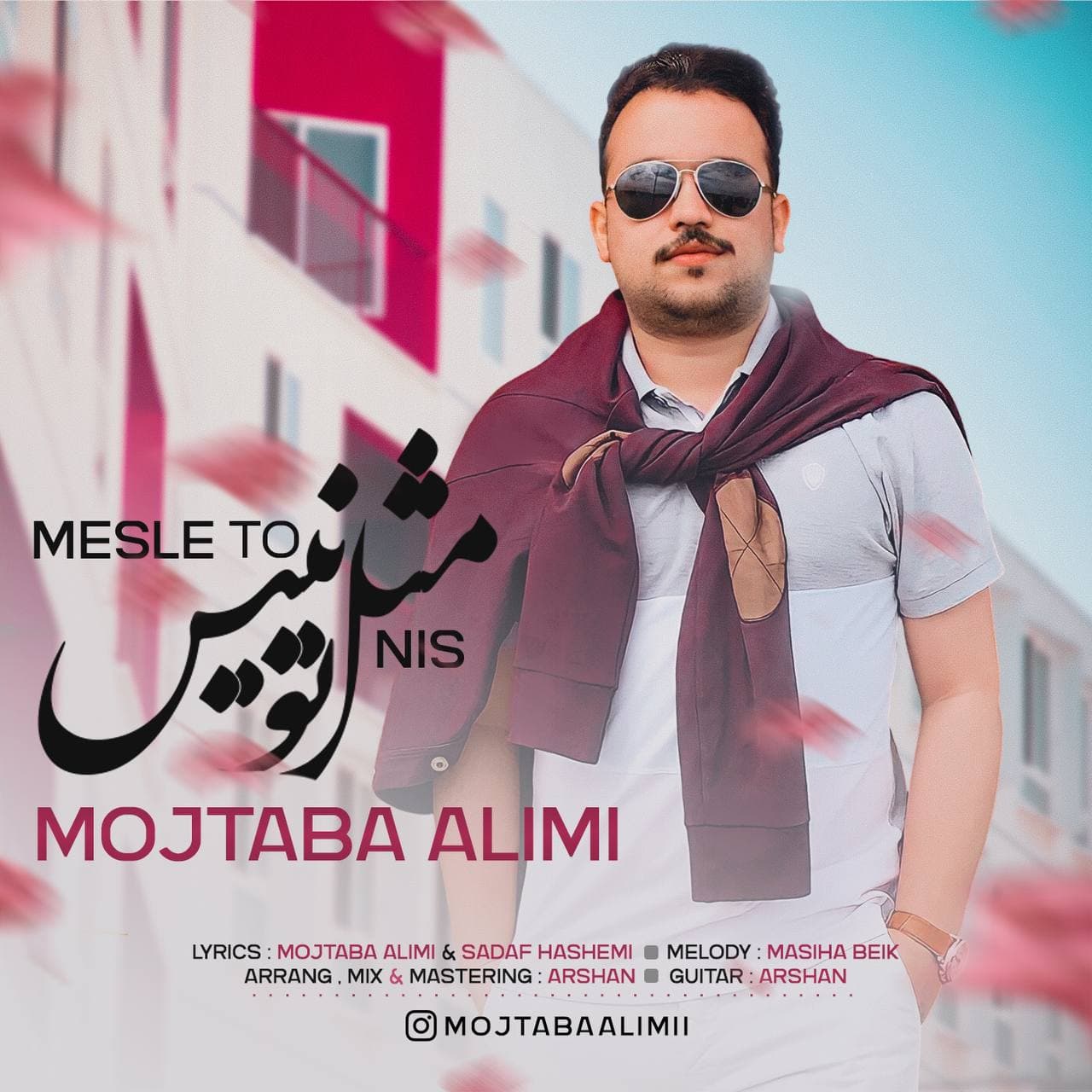 دانلود آهنگ مثل تو نیس مجتبی علیمی