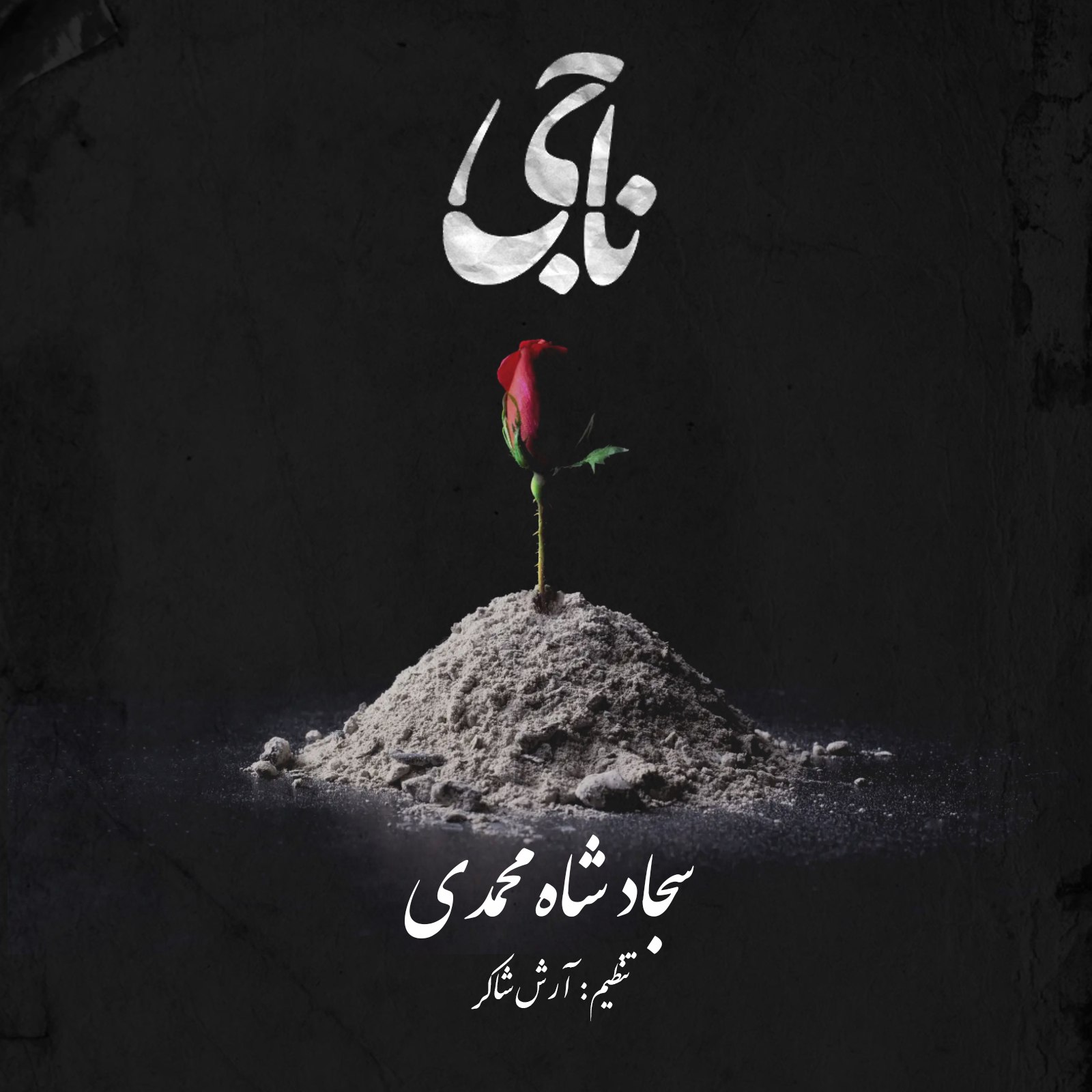 دانلود آهنگ ناجی سجاد شاه محمدی
