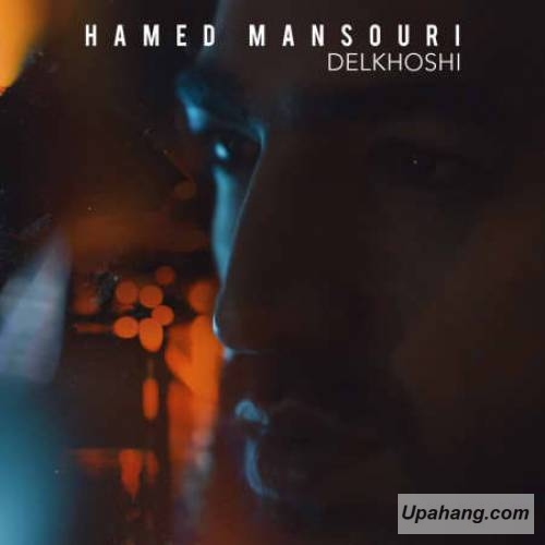 دانلود آهنگ دلخوشی حامد منصوری 