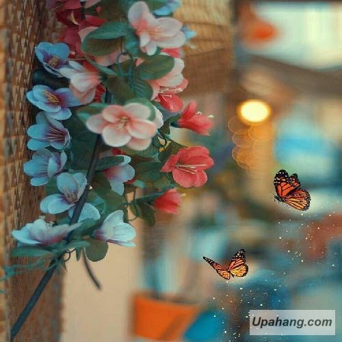 دانلود آهنگ بی وفایی روزگار ابوالفضل رضایی