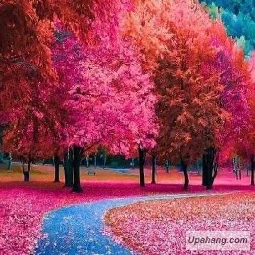 اصل رپ بیقرار