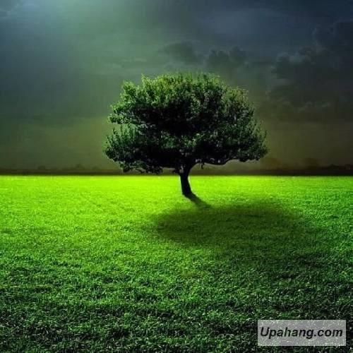 اصل رپ جرأت