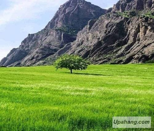اصل رپ نابودگر