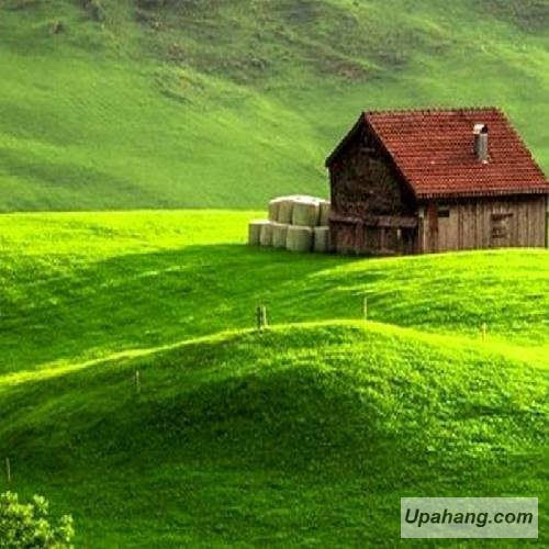 اصل رپ شکسته