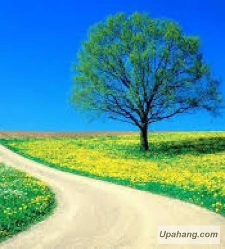 اصل رپ شکایت