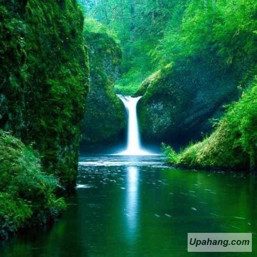 اصل رپ سلطه