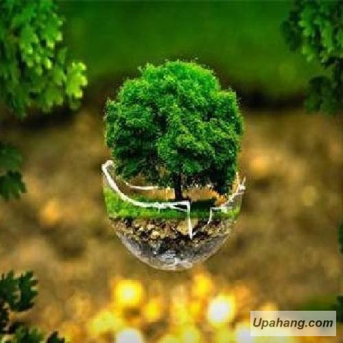 اصل رپ تقدیر