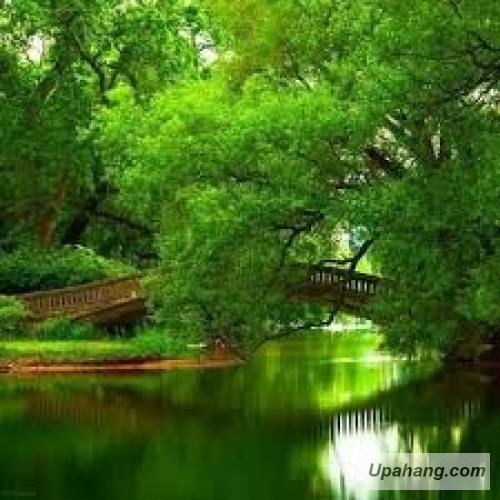 اصل رپ تهدید