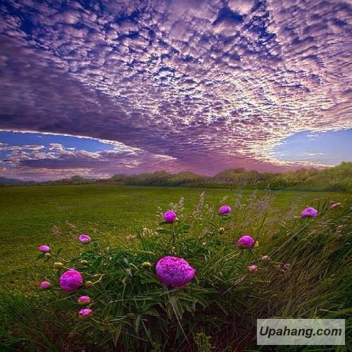 دانلود آهنگ بی وفا اصغر رضایی
