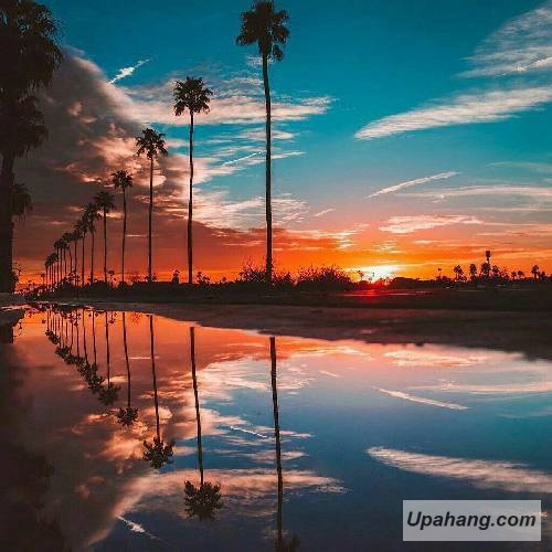 آوات یگانه دت افغان