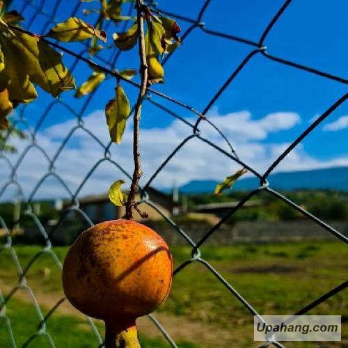 دانلود آهنگ لیلی و مجنون کاکا عزیز