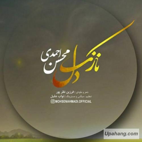 محسن احمدی نازک دل