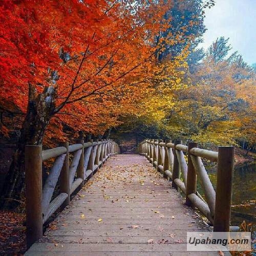 دانلود آهنگ غم دارم سعید یوسفی