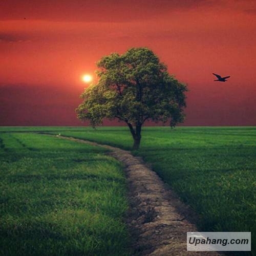 دانلود آهنگ موازی یونا