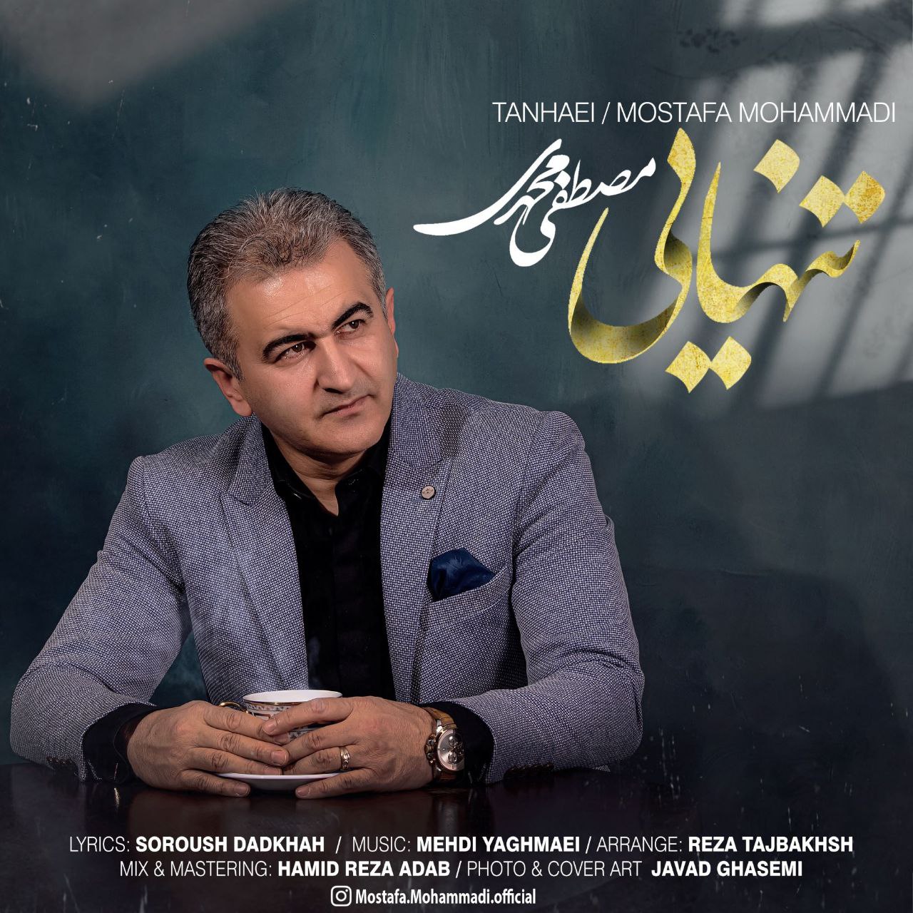 مصطفی محمدی تنهایی