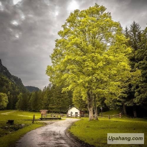 دانلود آهنگ کرماشان محراب عسکری