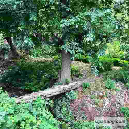 اجه رونای وور دیبینه
