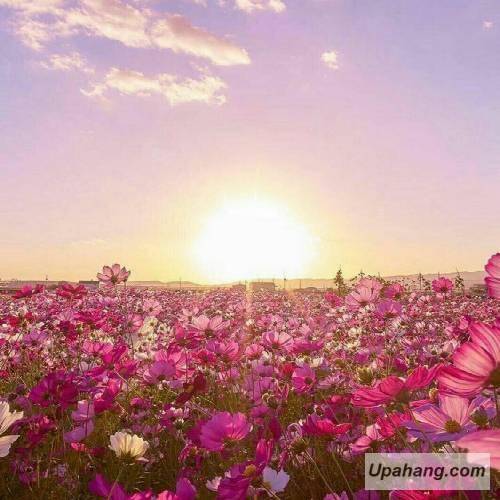کهزاد تهرانی نوستالژی